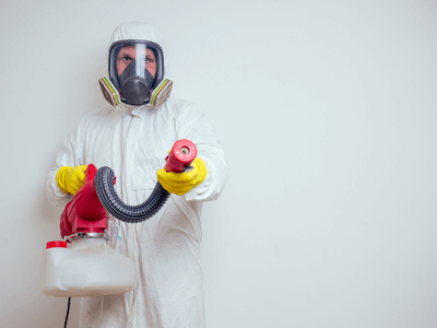 About Mosquito Fogging Midway - mosquito fogging experts in Midway